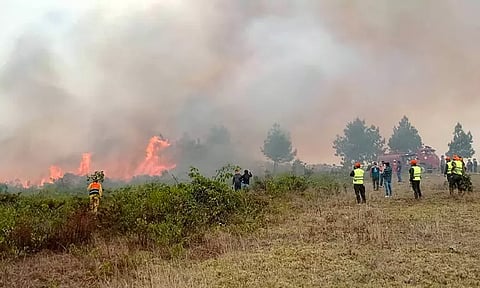 பெருவில் பயங்கர காட்டுத்தீ: 15 பேர் பலி