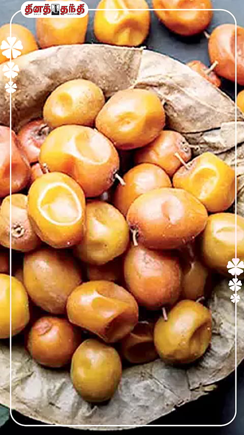 இது தெரியாம போச்சே..இலந்தை பழத்தில் இவ்வளவு நன்மைகளா?