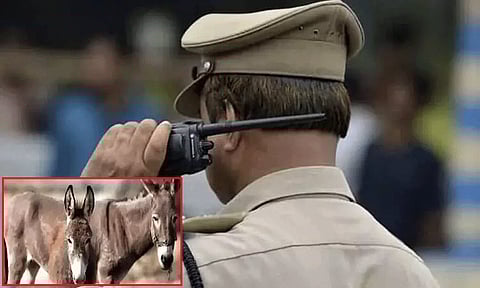 கோப்புப்படம் 