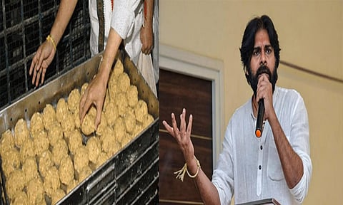 திருப்பதி லட்டு பிரசாத விவகாரம்: மிகுந்த மனவேதனை அளித்துள்ளது - பவன் கல்யாண்