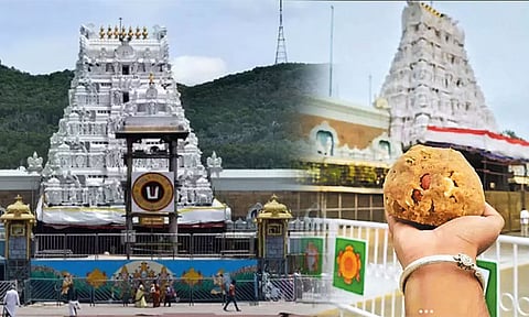 லட்டு விவகாரம்: திருப்பதி ஏழுமலையான் கோவிலில் விரைவில் குடமுழுக்கு?