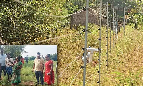 திருப்பத்தூர்: மின்வேலியில் சிக்கி தந்தை, மகன் உட்பட 3 பேர் உயிரிழப்பு