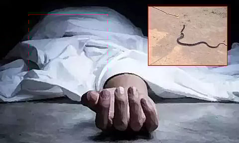 கோப்புப்படம் 