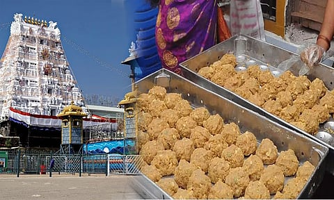 திருப்பதியில் 4 நாட்களில் 14 லட்சம் லட்டுகள் விற்பனை: லட்டு முன்பை விட சுவையாக உள்ளதாக பக்தர்கள் மகிழ்ச்சி