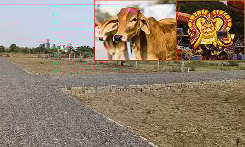 வீட்டு மனை வாங்குவோர் கவனிக்க வேண்டிய சுப சகுனங்கள்