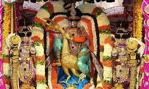 திருப்பதி பிரம்மோற்சவ விழா: சிம்மம், முத்துப்பந்தல் வாகனங்களில் சாமி வீதிஉலா