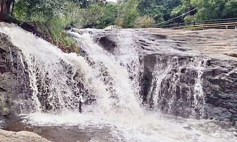 கும்பக்கரை அருவியில் குளிக்க அனுமதி