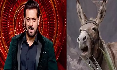 இந்தி பிக்பாஸில் கழுதை: சல்மான் கானுக்கு பீட்டா அமைப்பு எதிர்ப்பு