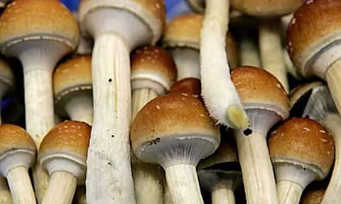 கோப்புப்படம் 