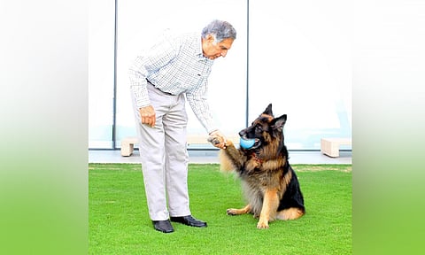 image courtesy: instagram/ratantata