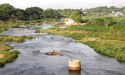 தாமிரபரணி பாசன கால்வாய்களில் தண்ணீர் திறக்க தமிழக அரசு உத்தரவு