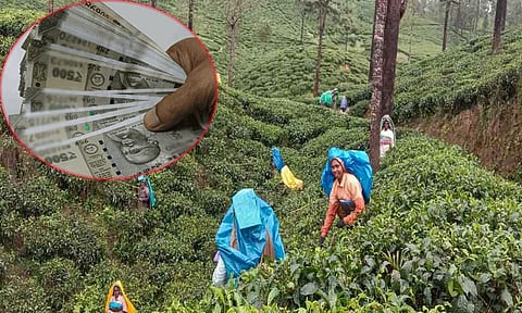 தமிழ்நாடு தேயிலை தோட்ட தொழிலாளர்களுக்கு 20 சதவீதம் தீபாவளி போனஸ்