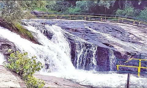 கோப்புப்படம் 