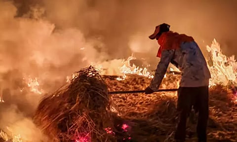 பயிர்க் கழிவுகளை எரித்தால் அவ்வளவுதான்.. அபராதத்தை இரு மடங்காக உயர்த்தியது மத்திய அரசு