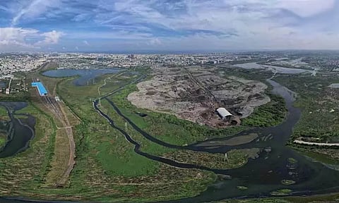 பள்ளிக்கரணை சதுப்பு நிலத்தை ரூ.21 கோடியில் சீரமைக்க வனத்துறை முடிவு