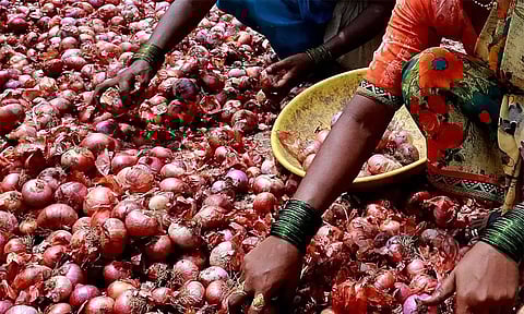 வெங்காயம் விலை விரைவில் குறையும் - மத்திய அரசு தகவல்
