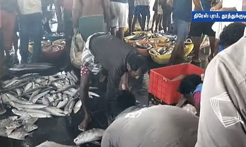 கார்த்திகை மாத பிறப்பு எதிரொலி; தூத்துக்குடியில் மீன்கள் விலை குறைந்தது