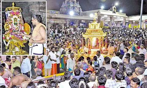 கிருத்திகை உற்சவம்: பழனி முருகன் கோவிலில் தங்கரத புறப்பாடு