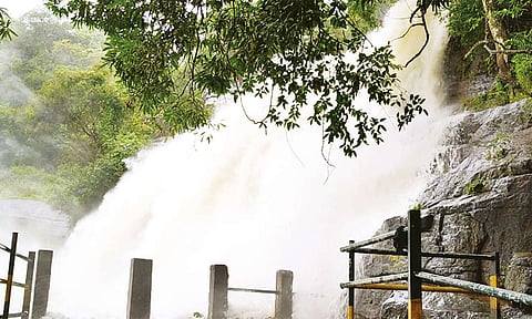 மேகமலை அருவியில் வெள்ளப்பெருக்கு: சுற்றுலா பயணிகள் குளிக்க தடை