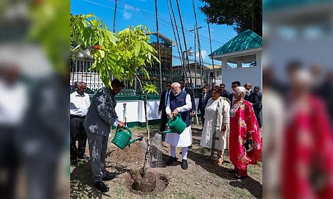 கயானா அதிபருடன் சேர்ந்து மரக்கன்று நட்ட பிரதமர் மோடி