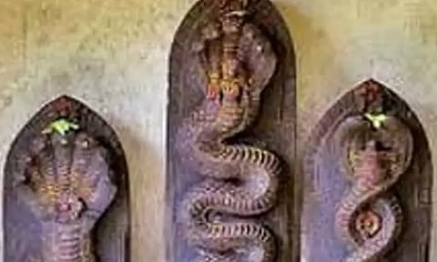 ராகு கேதுவால் ஏற்படும் நாக தோஷங்கள்