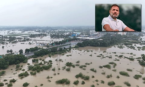 புயல் பாதிப்பு: தமிழ்நாட்டில் நிவாரண உதவிகளை மேற்கொள்ள தொண்டர்களுக்கு உத்தரவிட்ட ராகுல் காந்தி