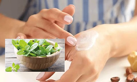 மூலிகை அழகுசாதன மற்றும் தோல் பராமரிப்பு பொருட்கள் தயாரிப்பு பயிற்சி - அறிவிப்பு வெளியீடு