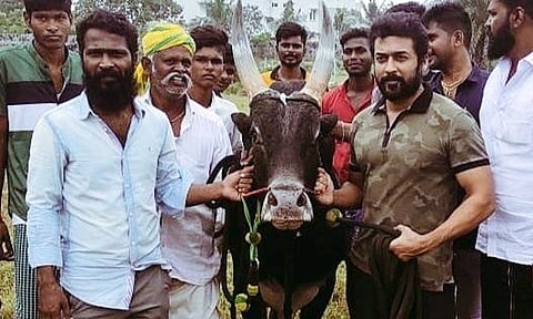 வெற்றிமாறன் இயக்கும் 'வாடிவாசல்' படத்தின் அப்டேட்