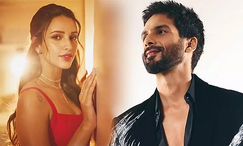Tripti Timri to pair up with popular Bollywood actor Shahid Kapoor?