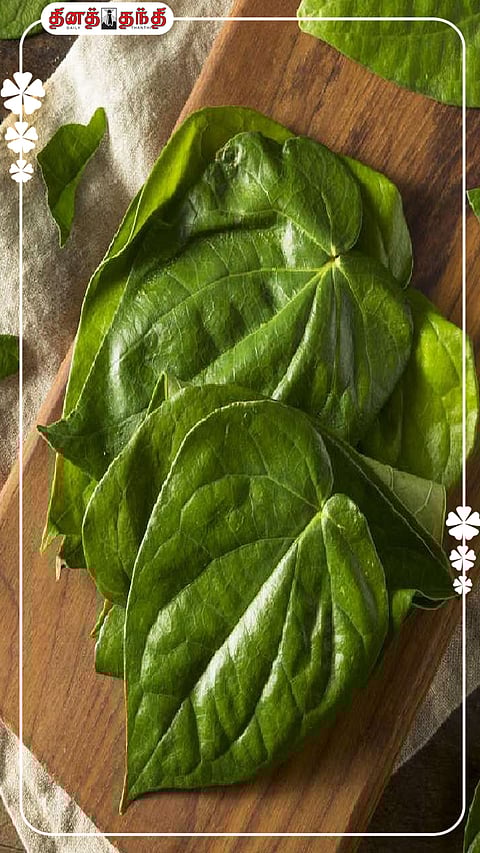 பல்வேறு பிரச்சினைகளுக்கு தீர்வு தரும் வெற்றிலை..!