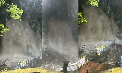 தொடர் கனமழை: குற்றால அருவிகளில் கடும் வெள்ளப்பெருக்கு