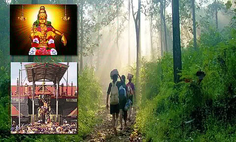 காட்டு வழிப்பாதையில் செல்லும் பக்தர்களுக்கு... சபரிமலையில் தரிசனம் செய்ய சிறப்பு ஏற்பாடு