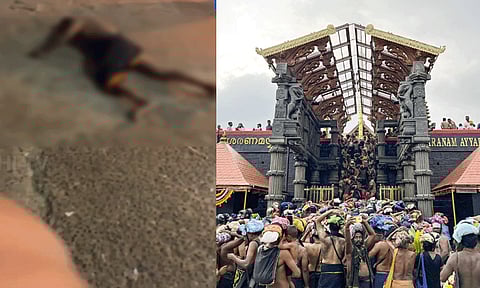 சபரிமலை சன்னிதானத்தில் பதற வைத்த சம்பவம்: பக்தர் எடுத்த விபரீத முடிவு