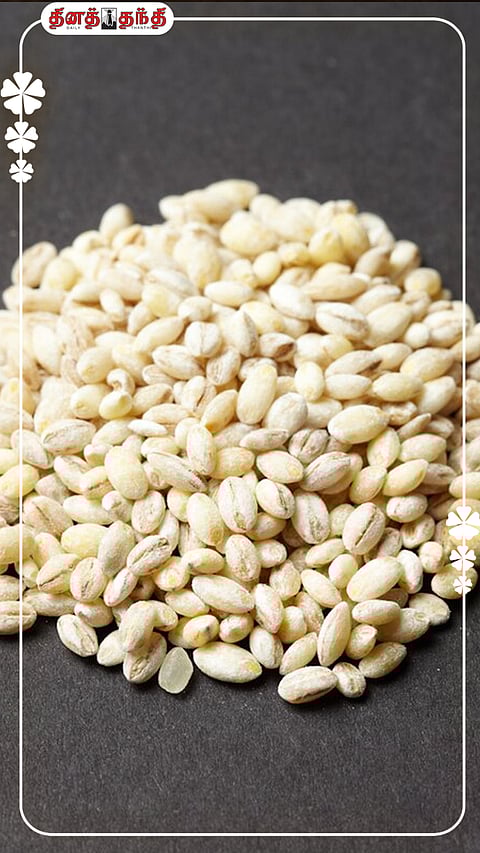 பார்லி சாப்பிடுவதால் கிடைக்கும் ஆரோக்கிய நன்மைகள்!