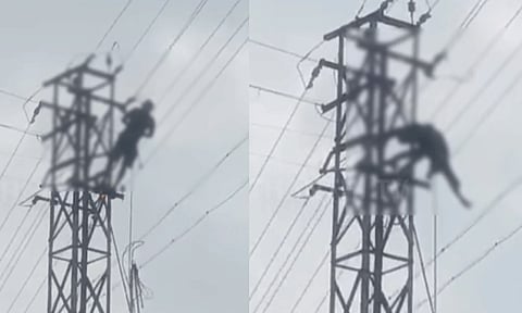 உயர் மின்கோபுரத்தில் பழுது பார்த்தபோது சோகம்: மின்சாரம் தாக்கி 2 ஒப்பந்த ஊழியர்கள் பலி