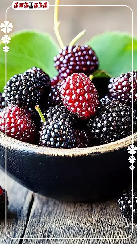மல்பெர்ரி பழத்தின் ஆரோக்கிய நன்மைகள்..!
