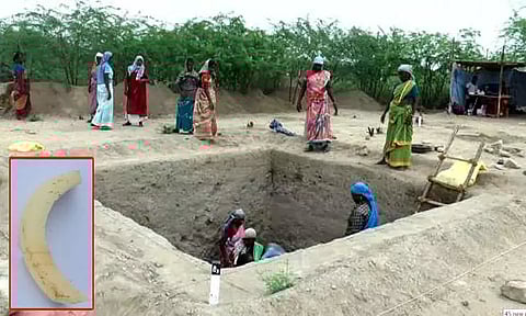 வெம்பக்கோட்டை அகழாய்வில் சங்கு வளையல் கண்டெடுப்பு