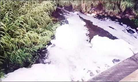 பாலாற்றில் கழிவுநீர் கலந்து நுரை பொங்கியபடி சென்ற தண்ணீர் - மக்கள் அதிர்ச்சி