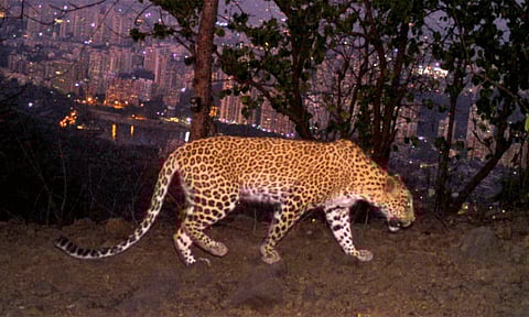 கோப்புப்படம்