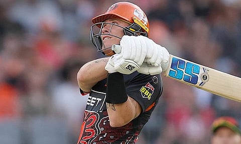 Image Courtesy: @BBL / @ScorchersBBL