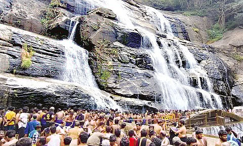 குற்றால அருவிகளில் அய்யப்ப பக்தர்கள் ஆனந்த குளியல்