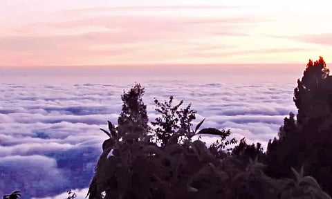 கொடைக்கானல் மலைப்பகுதியில் தவழ்ந்து சென்ற மேகக்கூட்டங்கள்.. சுற்றுலா பயணிகள் வியப்பு