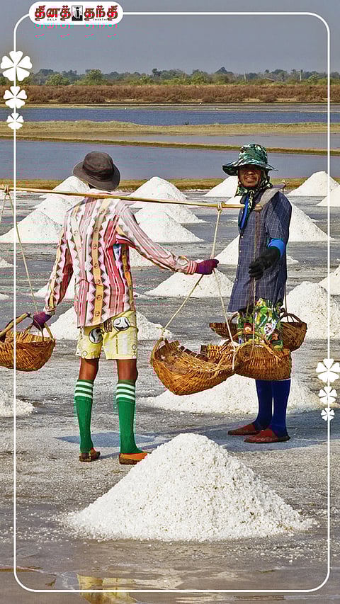 உப்பைப் பற்றி தெரிய வேண்டியவை..?