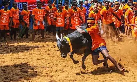 ஜல்லிக்கட்டு ஆன்லைன் முன்பதிவு இன்றுடன் நிறைவு