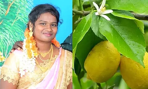 மின்சாரம் தாக்கி பெண் பலி - எலுமிச்சை பழம் பறிக்க முயன்றபோது சோகம்