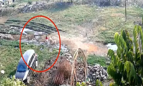 சிறுமியை விரட்டி விரட்டி கடித்து குதறிய தெருநாய்கள் - பதறவைக்கும் சிசிடிவி காட்சி