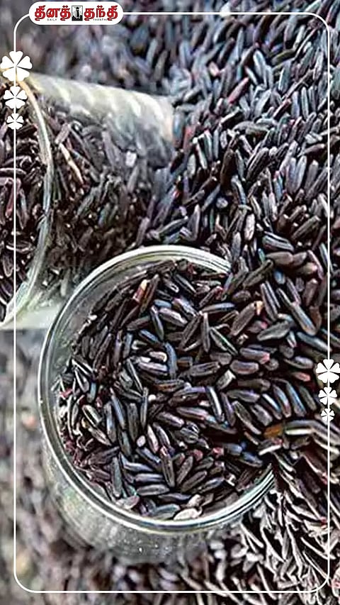 உடல் எடை முதல் இதய ஆரோக்கியம் வரை...கருங்குறுவை அரிசியின் நன்மைகள்..!