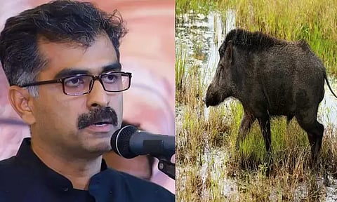 காட்டுப் பன்றிகளை கட்டுப்படுத்தி நிரந்தரமான தீர்வை வழங்க வேண்டும்: துரை வைகோ