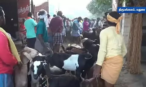 திருமங்கலம் சந்தையில் பொங்கலை முன்னிட்டு களைகட்டிய வியாபாரம் - ரூ.4 கோடிக்கு ஆடுகள் விற்பனை