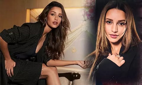 ஆஷிகி 3-ல் இருந்து திரிப்தி டிம்ரி விலகினாரா? - பதிலளித்த இயக்குனர்